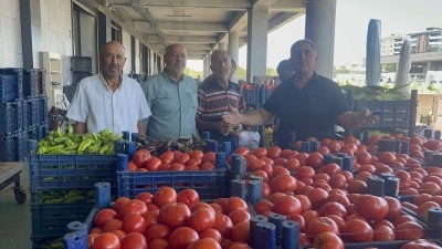 Kilis Sebze Hali&rsquo;nde sal&ccedil;alık domates fiyatları d&uuml;şt&uuml;
