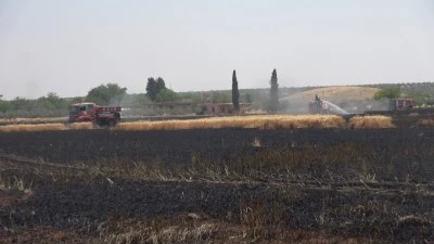 Kilis'te 150 dönümlük ekili alanda yangın!