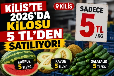 Kilis'te 2026'da Kilosu 5 TL'den Satılıyor!