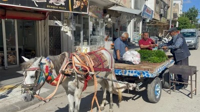 Kilis’te 60 yıldır at arabası ile bu işi yapıyor