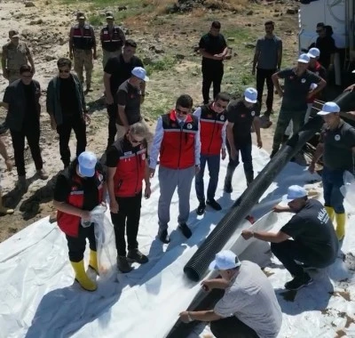 Kilis&rsquo;te 600 Bin Yavru Sazan Bırakıldı!