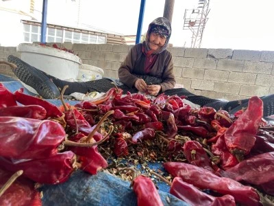 Kilis’te 90 Yaşındaki Fatma Yener Fabrika Çalışıyor