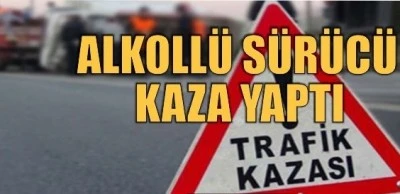  Kilis’te Alkollü Sürücü Araçlara Çarptı