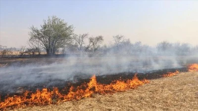 Kilis'te anız yakanlara para cezası yolda!