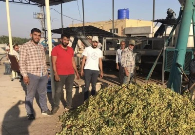  Kilis&rsquo;te Antepfıstığı İ&ccedil;in Fabrikalarda Hummalı Mesai