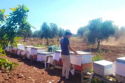Kilis&rsquo;te Arıcılara Destek M&uuml;jdesi!