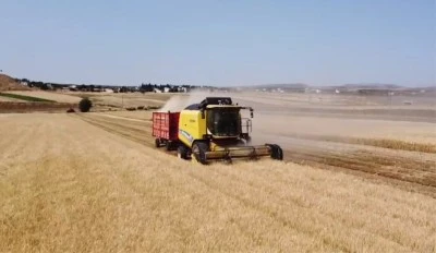Kilis’te arpa ve buğday hasadı başladı