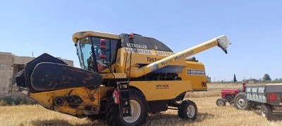 Kilis’te Arpa Verimi Düşük: Çiftçiler Biçimden Vazgeçiyor