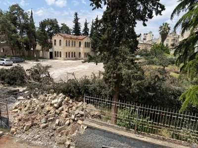 Kilis'te Asırlık Ağa&ccedil;lar Kesildi, Tepkiler B&uuml;y&uuml;yor