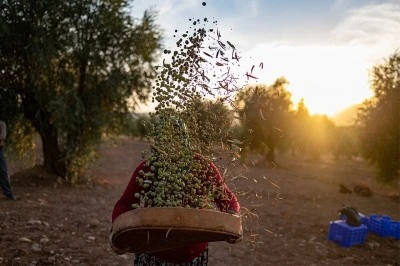 Kilis’te Asırlık ‘Allef’ Geleneği Teknolojiye Yenik Düşüyor