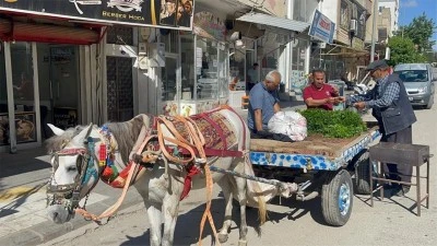 Kilis'te at arabası kullanımı azaldı