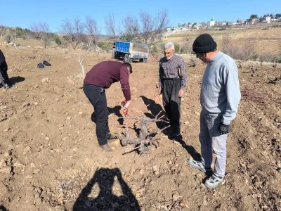 Kilis&rsquo;te Bağcılara Budama Uyarısı
