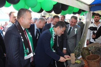  Kilis’te Bu Yıl Zeytin de Yok, Festival de Yok