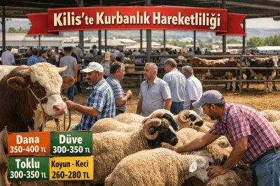Kilis&rsquo;te Bug&uuml;nk&uuml; kurbanlık fiyatları