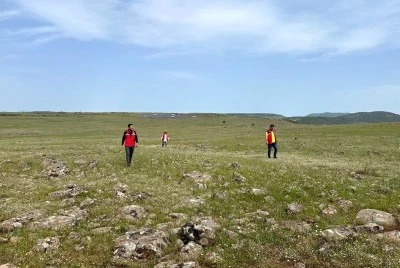 Kilis&rsquo;te &Ccedil;ekirge Alarmı