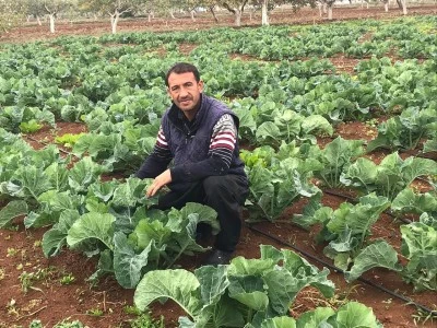 Kilis’te Çiftçi Kışlık Fideye Sırt Çevirdi