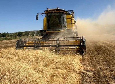 Kilis’te çiftçilerden buğday alım fiyatlarına tepki