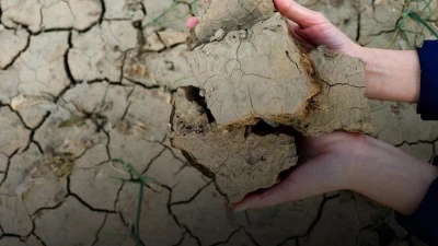 Kilis’te çiftçilere dekar başına 400 TL nakdi hibe kuraklık desteği verilsin (ÖZEL HABER]