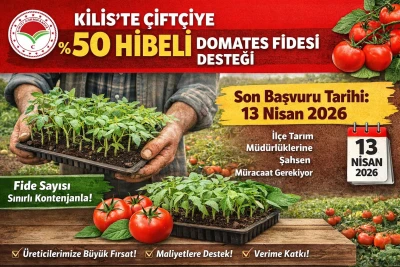 Kilis&rsquo;te &Ccedil;ift&ccedil;iye Domates Fidesi Desteği