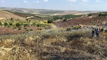 Kilis'te çıkan yangında 15 dönüm alanda ekili buğday kül oldu