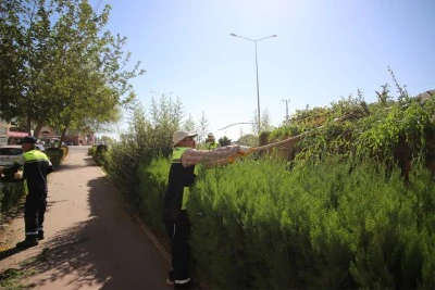 Kilis'te çim düzenleme çalışmaları sürüyor