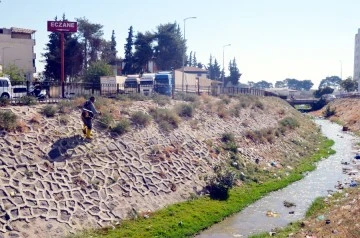 Kilis’te derelerdeki otlar temizleniyor