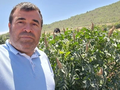 Kilis'te Doğal Sumak Mevsimi Başladı