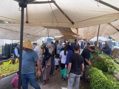 Kilis&rsquo;te Domates Pazarda 15 TL, Markette 40 TL