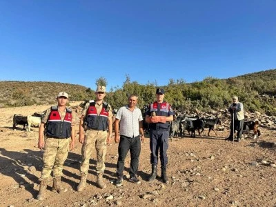 Kilis’te Duyarlı Vatandaşın İhbarı Hayat Kurtardı