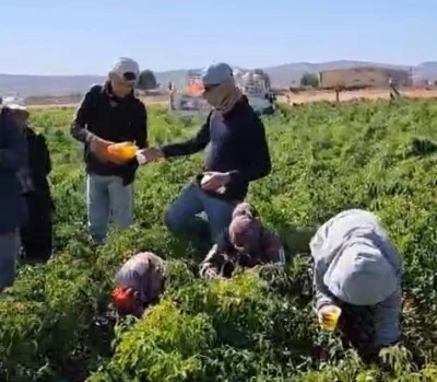 Kilis'te Erkek Çiftçilerden Kadın Çiftçilere Anlamlı Kutlama