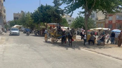 Kilis’te fayton turları güzel bir anı bırakıyor