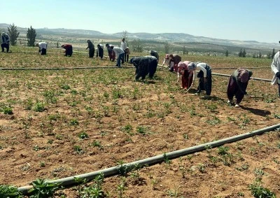 Kilis’te Güneş Altında Zorlu Mesai 