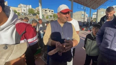 Kilis’te Güvercin Aşkı!