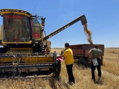 Kilis&rsquo;te Hasat Sezonunda Kritik Uygulama