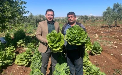 Kilis’te hava değişikliği tarımı vuruyor: Bu yıl ziraatın depremini yaşıyoruz [ÖZEL HABER]