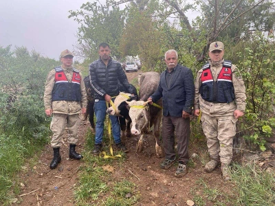Kilis'te Hayvan Hırsızlığına Anında Müdahale: 2 Şüpheli Yakalandı