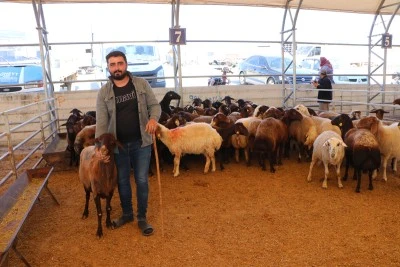 Kilis'te hayvan pazarında kurbanlık fiyatları nasıl?
