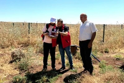 Kilis'te Hayvancılığa Dev Destek!