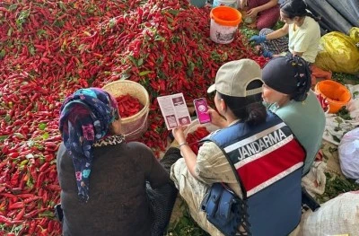Kilis’te Jandarma biber hasadı yapan kadınları bilgilendirdi