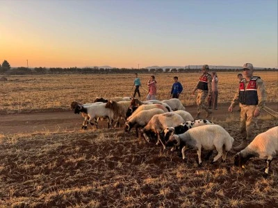 Kilis’te Jandarmadan Nefes Kesen Arama Operasyonu