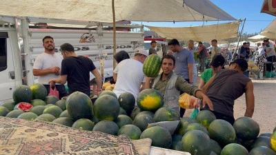 Kilis’te karpuz bolluğu pazarları şenlendirdi: Fiyatlar düştü, satışlar patladı