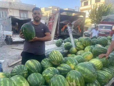 Kilis’te Karpuz Fiyatları Düştü: 50 TL’den 8 TL’ye!