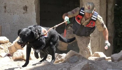 Kilis'te kaybolan 2 yaşındaki kız çocuğu aranıyor