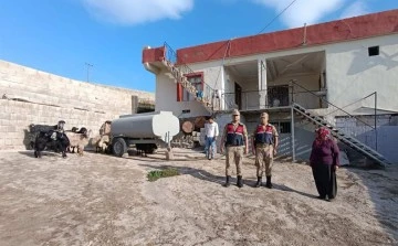 Kilis'te kaybolan küçükbaş hayvanı jandarma buldu
