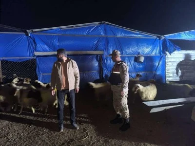 Kilis’te Kaybolan Küçükbaş Hayvanlar Bulundu