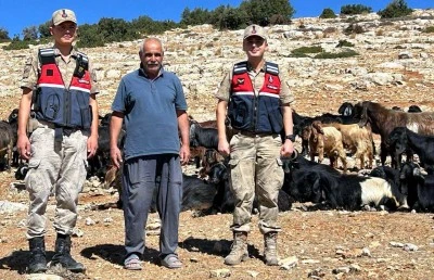 Kilis'te kaybolan küçükbaş hayvanları jandarma buldu