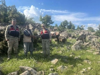 Kilis&rsquo;te Kayıp Koyunlar Bulunarak Sahibine Teslim Edildi