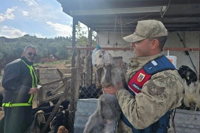 Kilis’te kayıp küçükbaş hayvanlar jandarma tarafından bulundu