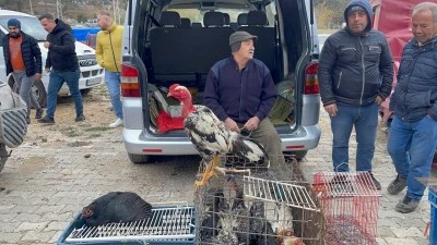 Kilis&rsquo;te K&ouml;y Tavuğu Pazarı Sessiz