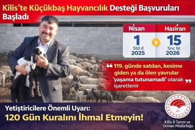 Kilis&rsquo;te K&uuml;&ccedil;&uuml;kbaş Hayvancılık Desteği Başvuruları Başladı